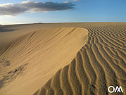 Dune de sable à Fuerteventura