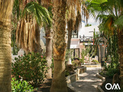 Les bungalows sont entourés de verdure avec des palmiers, des buganvillas et des hibiscus.