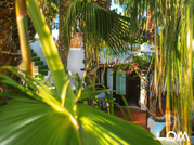 Vue à travers les plamens sur la petite terrasse devant les bungalows du surfcamp